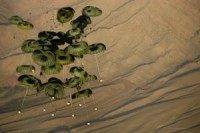 U.S. military airdrops 50 tons of ammo to aid Syrian rebels