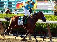 American Pharaoh AP