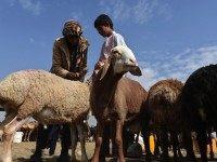 AFGHANISTAN-RELIGION-ISLAM-EID