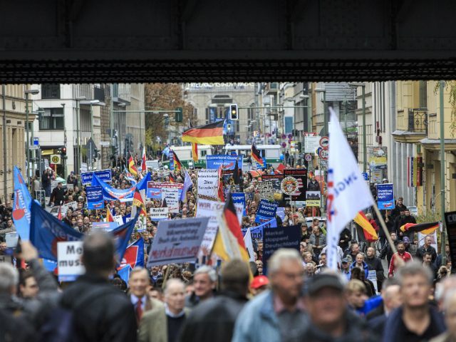 alternativ für deutschland afd