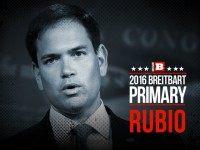 Marco Rubio Breitbart Primary