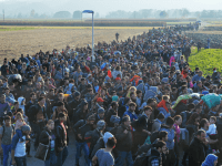 EU autumn economic forecast