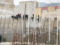 migrant invasion