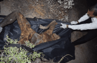 Coahuila Cops Collect Body