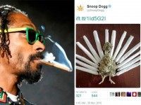 Snoop Dogg Reuters Twitter