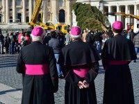 A sham? Bishops stand in St Peter's square where a crane lifts a Christmas tree that was cut in Bavaria, southern Germany, on November 19, 2015 at the Vatican.