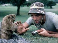 caddyshack