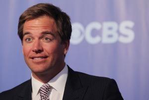 Michael Weatherly charged with driving under the influence