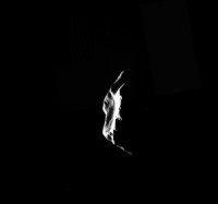 New U.S. space mining law may violate international treaty