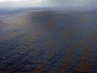 Dispersants fail: Half the spilled BP oil may be on Gulf floor