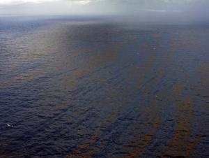 Dispersants fail: Half the spilled BP oil may be on Gulf floor