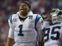 Panthers' Cam Newton gives away TD ball, despite Packers' Julius Peppers interference