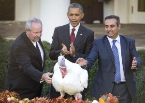 Obama pardons national turkeys 'Honest' and 'Abe' at White House
