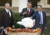 Obama serves Thanksgiving dinner to homeless, pardons turkeys