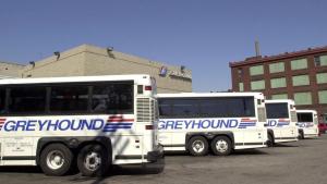 Repeated transit thief Darius McCollum strikes again