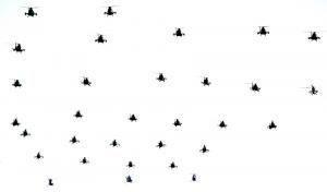 Chinese military to introduce 'paragliding drones'