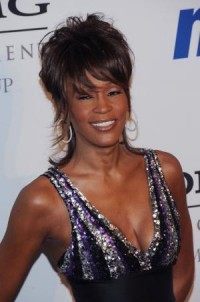 Fifteen of Whitney Houston's gowns and dresses to hit the auction block Nov. 21