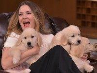 Drew-Barrymore-GettyImages