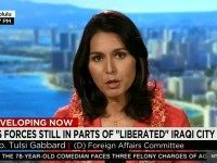 Dem Rep Gabbard: Obama Administration Must Identify ‘Islamic Extremism’ as Enemy — Not Just Islamic State