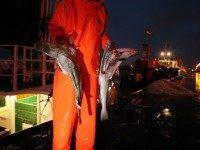 GettyImages-79162555