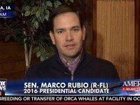 Rubio: Christie Not In NJ ‘Half the Time,’ Trump Wanted To Make Gowdy His AG