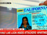 Rafia Farook (MSNBC /David Boles / Twitter)