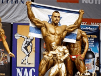 Screen Shot 2015-12-09 at 09.54.15