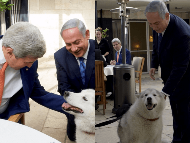 Netanyahu dog bites