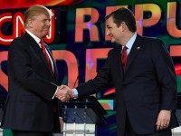 Kellyanne Conway: ‘Trump and Cruz Locked in Arms’ Against Establishment ‘Parachute’ Convention Candidate