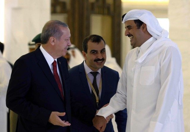 Recep Tayyip Erdogan, Tamim bin Hamad Al Thani