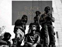 blackliberationcollective.org
