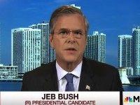 jebBush