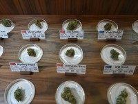 Josh Edelson/AFP/Getty Images