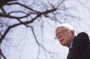 Millennial Democratics prefer Bernie Sanders