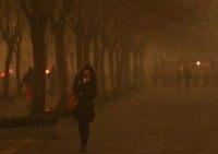 North Korea showed interest in combating climate change, official says