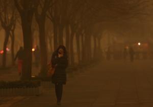 North Korea showed interest in combating climate change, official says