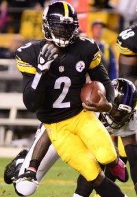 Pittsburgh Steelers' Michael Vick lobbying for dogs
