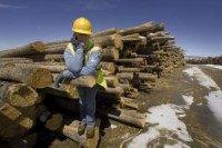 EU clears clean British power plant