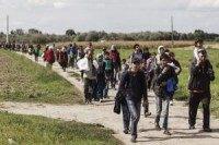 EU considers its own border patrol to control flow of refugees