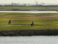 Golfers walk along the water during an afternoon of warm and sunny weather on December 13, 2015 in Fairfield, Connecticut. Temperatures across much of the New York metropolitan area continued to be unseasonably warm with a record breaking mid 60's being recorded in many areas. The warm weather is expected to last for the next few days. (Photo by )