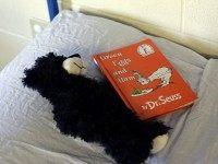 Immigration Overload Families