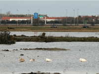 ‘APOCALYPSE’: Eurotunnel Razes Area Around Calais Tunnel In Bid to Keep Migrants Away