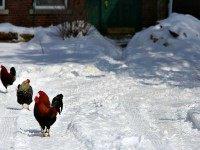 Dubuque, Iowa AP PhotoThe Telegraph Herald, Jeremy Portje