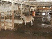 Clark County Sheriff's Office