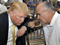 Rudy Giuliani to Clinton Campaign, Press: ‘Are You Out of Your Mind?’