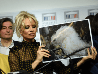 Pamela Anderson
