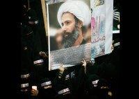 Nimr al-Nimr