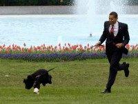 REUTERS/Larry Downing