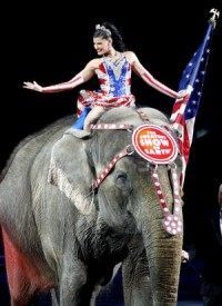 Ringling Bros. retiring their remaining Asian elephants two years early