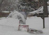 Blizzard kills thousands of Texas dairy cows